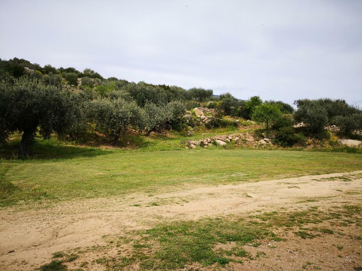 Villa L'Oleandro Oliena Exterior photo