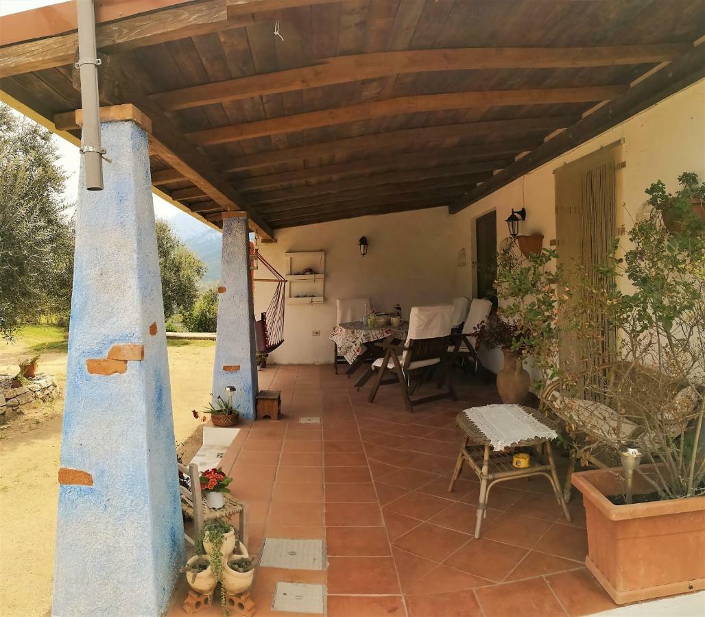 Villa L'Oleandro Oliena Exterior photo